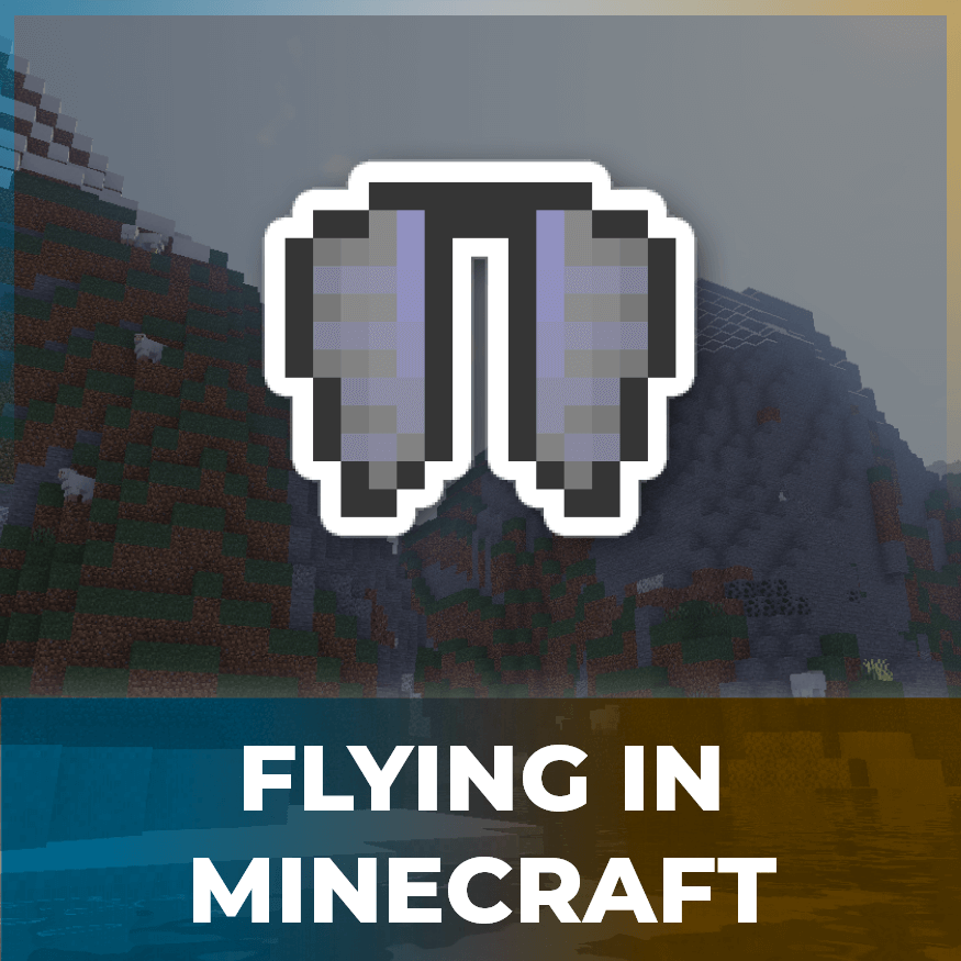 Hướng Dẫn Elytra